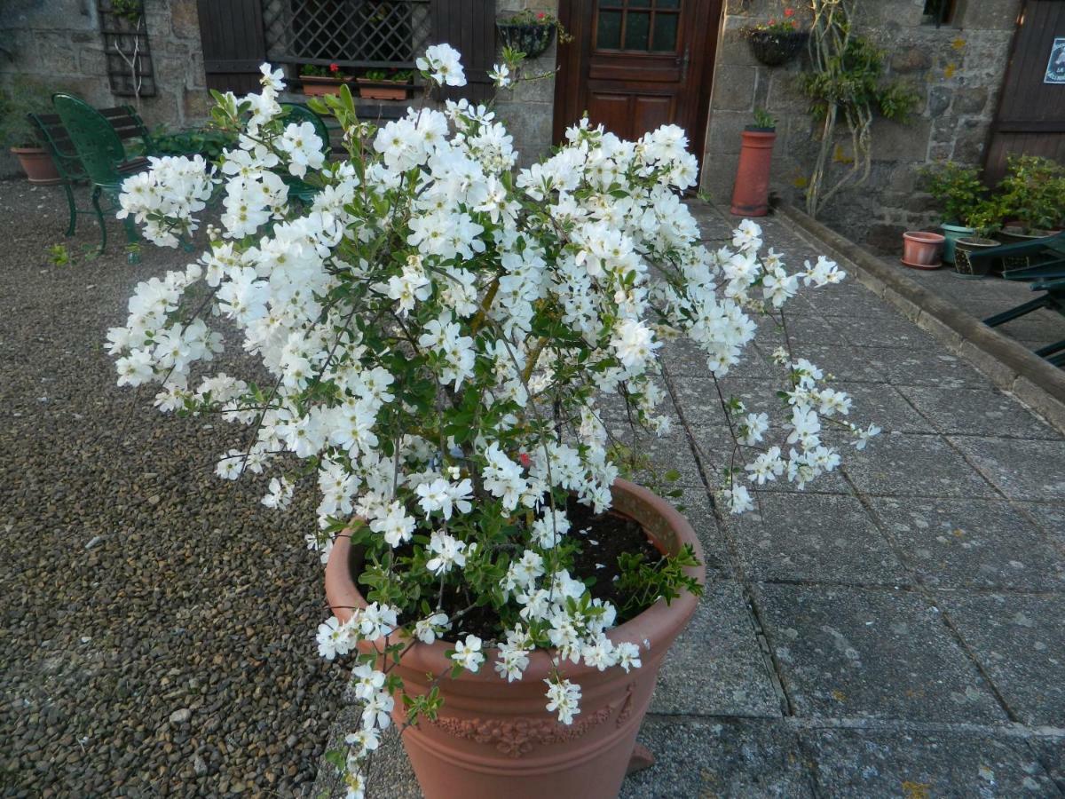 B&B La Seliniere Champ-du-Boult 外观 照片